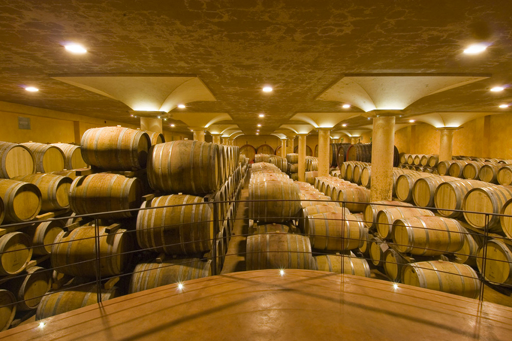 Tours in the cellars